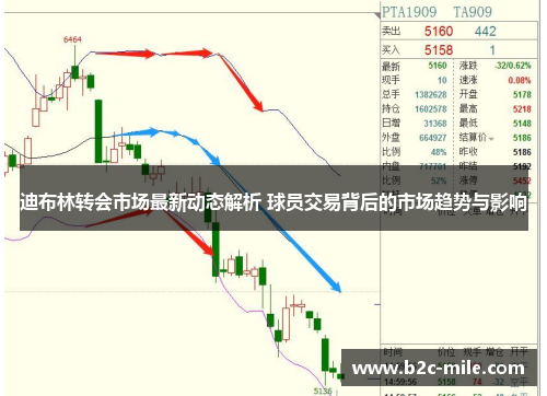 迪布林转会市场最新动态解析 球员交易背后的市场趋势与影响