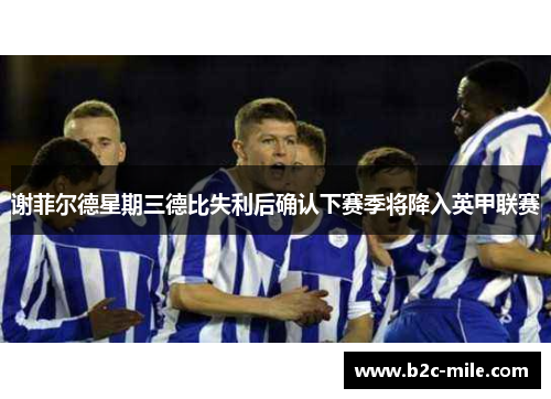 谢菲尔德星期三德比失利后确认下赛季将降入英甲联赛