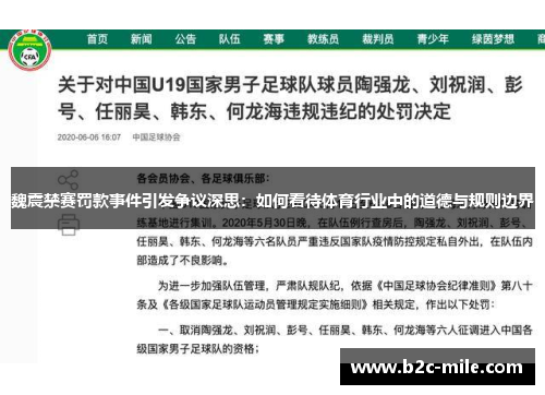 魏震禁赛罚款事件引发争议深思：如何看待体育行业中的道德与规则边界